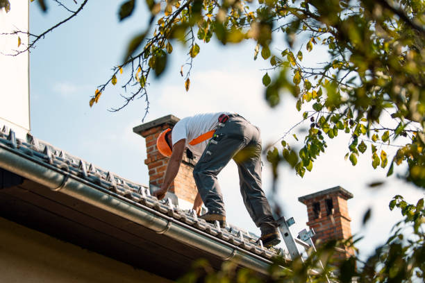 Best Roof Maintenance and Cleaning  in Martinsvle, IL
