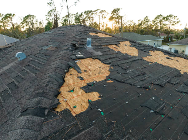 Best Roof Moss and Algae Removal  in Martinsvle, IL