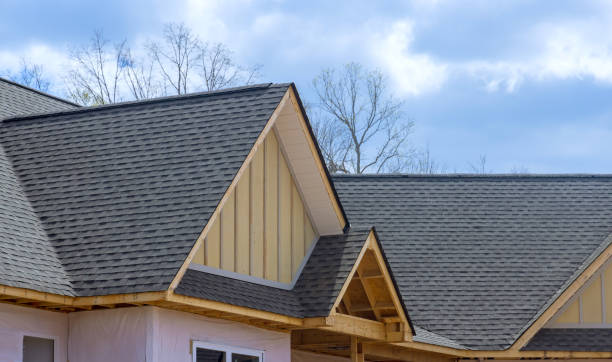 Best Roof Coating Services  in Martinsvle, IL