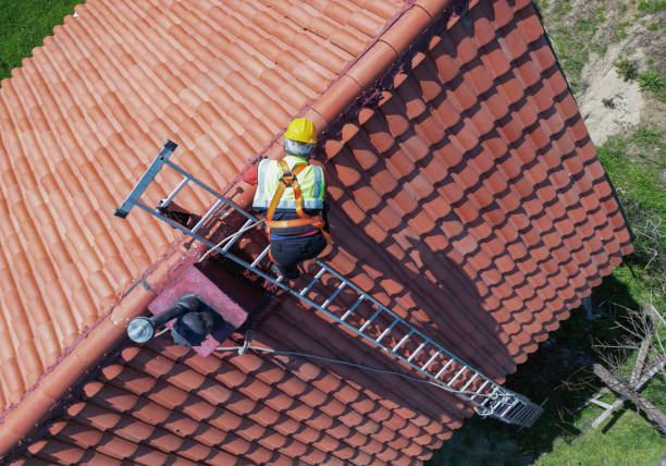 Best Roof Waterproofing  in Martinsvle, IL