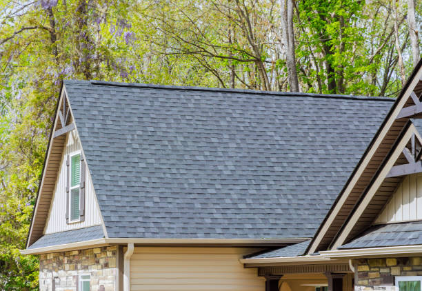 Best Gutter Installation and Repair  in Martinsvle, IL